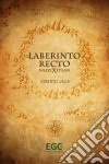 Laberinto recto: Naltixitlan. E-book. Formato EPUB ebook