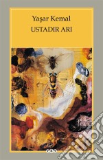 Ustadir Ari: Yazilar - Konusmalar. E-book. Formato EPUB ebook