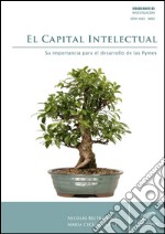 El capital intelectualSu importancia para el desarrollo de las PyMes. E-book. Formato EPUB ebook