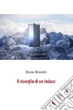 Il risveglio di un indaco. E-book. Formato Mobipocket ebook