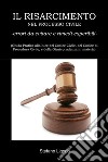 Il Risarcimento nel Processo Civile -errori da evitare, e rimedi esperibili-(Guida Pratica alla luce del Codice Civile, del Codice di Procedura Civile, e della Giurisprudenza in materia). E-book. Formato PDF ebook