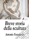 Breve storia della scultura . E-book. Formato EPUB ebook