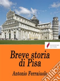 Breve storia di Pisa . E-book. Formato EPUB ebook di Antonio Ferraiuolo