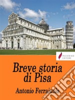 Breve storia di Pisa . E-book. Formato EPUB ebook