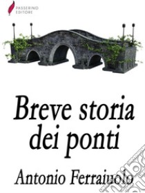 Breve storia dei ponti . E-book. Formato EPUB ebook di Antonio Ferraiuolo