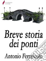 Breve storia dei ponti . E-book. Formato EPUB ebook