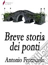 Breve storia dei ponti . E-book. Formato EPUB ebook