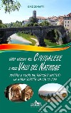 Cosa vedere nel Cividalese e nelle Valli del NatisoneDentro e fuori dai percorsi battuti:  la guida scritta da chi ci vive!. E-book. Formato EPUB ebook