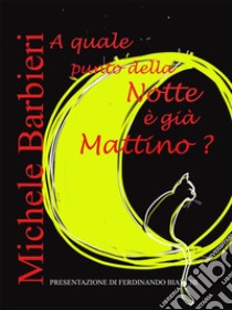 A quale punto della notte è già mattino?. E-book. Formato EPUB ebook di Michele Barbieri