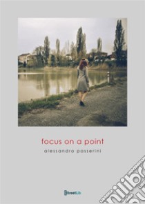 Focus on a Point. E-book. Formato PDF ebook di Alessandro Passerini