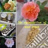 The reproduction of seed roses. E-book. Formato EPUB ebook