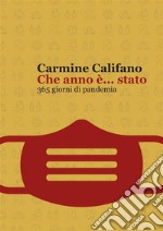 Che anno è... stato365 giorni di pandemia. E-book. Formato PDF ebook