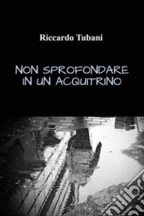 Non sprofondare in un acquitrino. E-book. Formato EPUB ebook di Riccardo Tubani