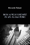 Non sprofondare in un acquitrino. E-book. Formato EPUB ebook di Riccardo Tubani