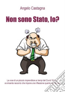 Non sono Stato, io?. E-book. Formato EPUB ebook di Angelo Castagna