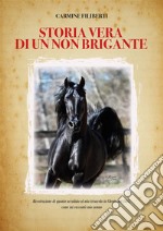 Storia vera di un non briganteRicostruzione di quanto accaduto al mio trisavolo in Cilento nel 1.862, come mi raccontò mio nonno.. E-book. Formato PDF ebook