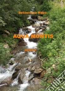 Aqua montisPoesie. E-book. Formato EPUB ebook di Sebastiano Rizzo