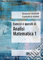 Esercizi e Quesiti di Analisi Matematica 1. E-book. Formato PDF