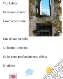 Delusione grande ... che cos'è la delusioneDue donne su mille  mi hanno detto no ed io sono profondamente deluso e infelice. E-book. Formato EPUB ebook di labita vito