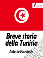 Breve storia della Tunisia. E-book. Formato EPUB ebook