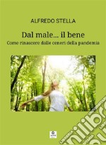 Dal male... il beneCome rinascere dalle ceneri della pandemia. E-book. Formato EPUB ebook