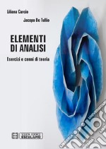 Elementi di Analisi. Esercizi e cenni di teoria. E-book. Formato PDF