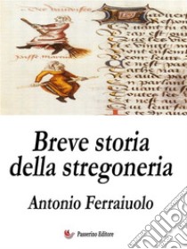 Breve storia della stregoneria. E-book. Formato EPUB ebook di Antonio Ferraiuolo