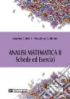 Analisi Matematica 2. Schede ed Esercizi. E-book. Formato PDF ebook