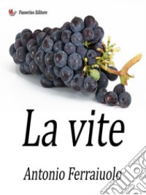 La vite. E-book. Formato EPUB ebook di Antonio Ferraiuolo