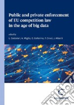 Public and Private Enforcement of EU Competition Law in the Age of Big Data. E-book. Formato PDF ebook