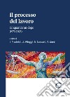 Il processo del lavoro - e-Book: Cinquant'anni dopo (1973-2023). E-book. Formato PDF ebook