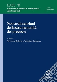 Nuove dimensioni della strumentalità del processo. E-book. Formato EPUB ebook