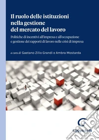 Il ruolo delle istituzioni nella gestione del mercato del lavoro: Politiche di incentivi all’impresa e all’occupazione e gestione dei rapporti di lavoro nelle crisi di impresa. E-book. Formato EPUB ebook
