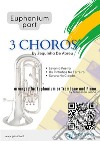 Euphonium b.c. parts &quot;3 Choros&quot; by Zequinha De Abreu for Euphonium and PianoLevanta Poeira - Os Pintinhos No Terreiro - Sururu Na Cidade. E-book. Formato EPUB ebook