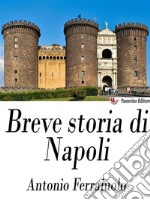 Breve storia di Napoli. E-book. Formato EPUB ebook