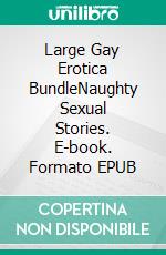 Large Gay Erotica BundleNaughty Sexual Stories. E-book. Formato EPUB ebook di Allan Breedon