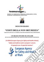 Costi della non sicurezza - IL BILANCIO ANNUALE E IL CONTROLLO DEI COSTI E DEI BENEFICI DELLA PREVENZIONE. E-book. Formato EPUB ebook