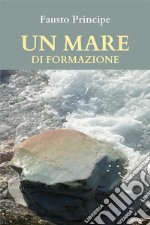 Un mare di formazionePiccola guida pratica per navigare sicuri nella docenza della formazione d’aula.. E-book. Formato EPUB ebook