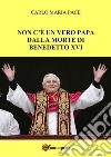 Non c&apos;è un vero Papa dalla morte di Benedetto XVI. E-book. Formato PDF ebook