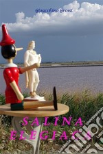 Salina elegiacaRaccolta di versi in metrica. E-book. Formato PDF