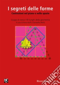 I segreti delle formeCostruzioni nel piano e nello spazio. E-book. Formato PDF ebook di Anna Aiolfi