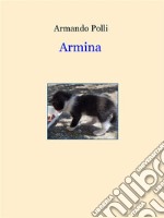 Armina. E-book. Formato EPUB