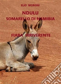 Ndulu il somarello di NamibiaFiaba irriverente e blasfema. E-book. Formato EPUB ebook