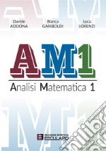 AM1 Analisi Matematica 1. E-book. Formato PDF