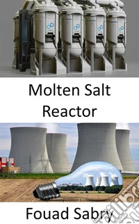 Molten Salt ReactorRethinking the fuel cycle in the future of nuclear power?. E-book. Formato EPUB ebook