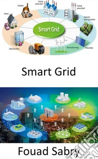 Smart GridExchanging electricity and information between homes and power plants. E-book. Formato EPUB ebook