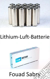 Lithium-Luft-BatterieWegbereiter für elektrische Passagierflugzeuge. E-book. Formato EPUB ebook