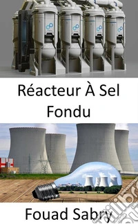 Réacteur À Sel FonduRepenser le cycle du combustible dans le futur du nucléaire ?. E-book. Formato EPUB ebook