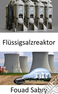 FlüssigsalzreaktorDen Brennstoffkreislauf in der Zukunft der Atomkraft überdenken?. E-book. Formato EPUB ebook