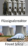 FlüssigsalzreaktorDen Brennstoffkreislauf in der Zukunft der Atomkraft überdenken?. E-book. Formato EPUB ebook